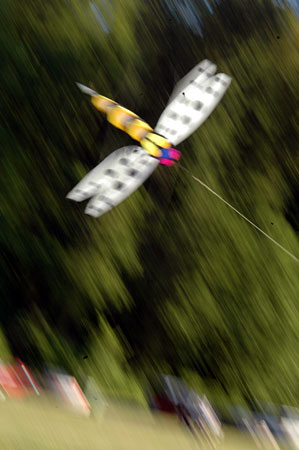 Kite at Jericho Beach