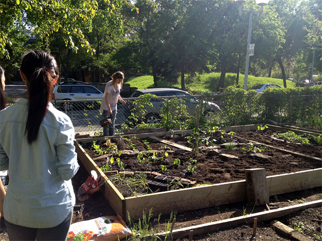 communitygardens