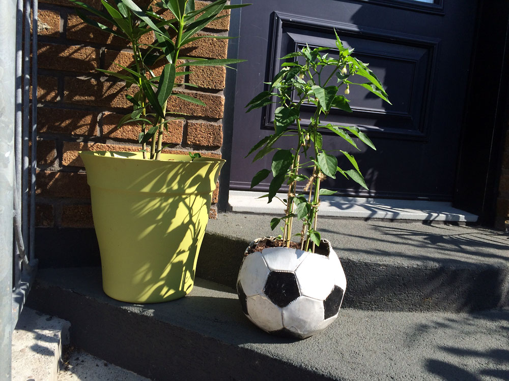 soccerplanter