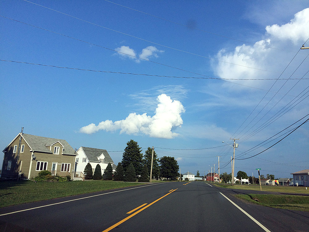 cloudanimals