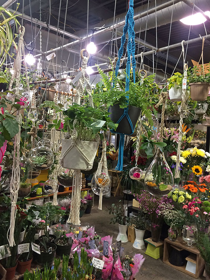 flowersatmarchejeantalon