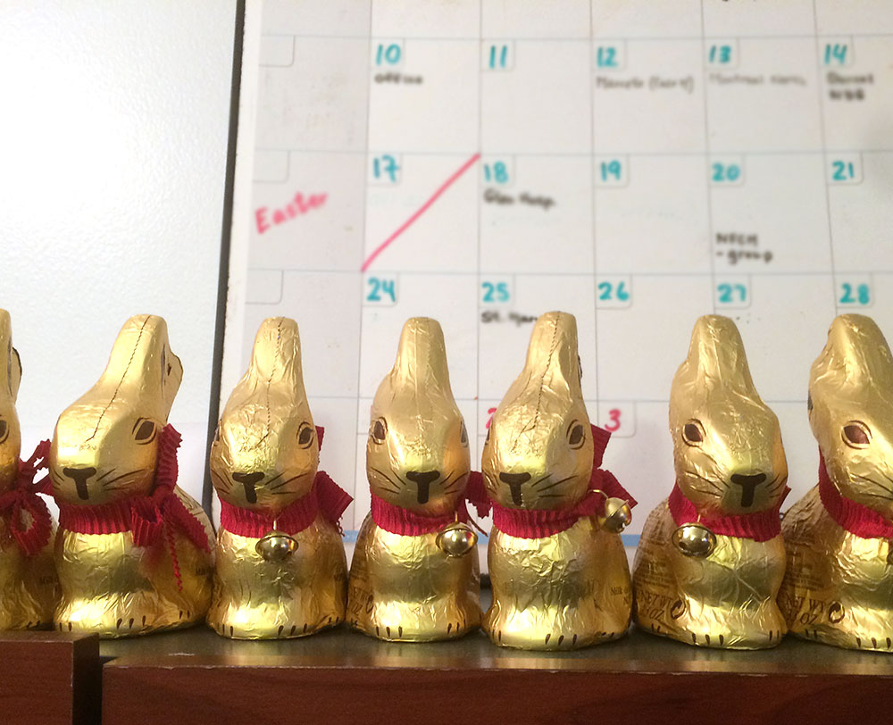 chocolatebunnies