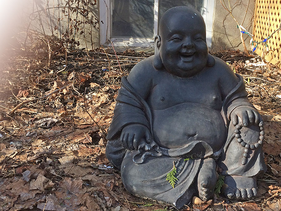 northernbuddha