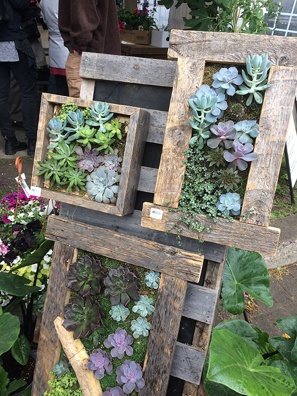 gardenboxes