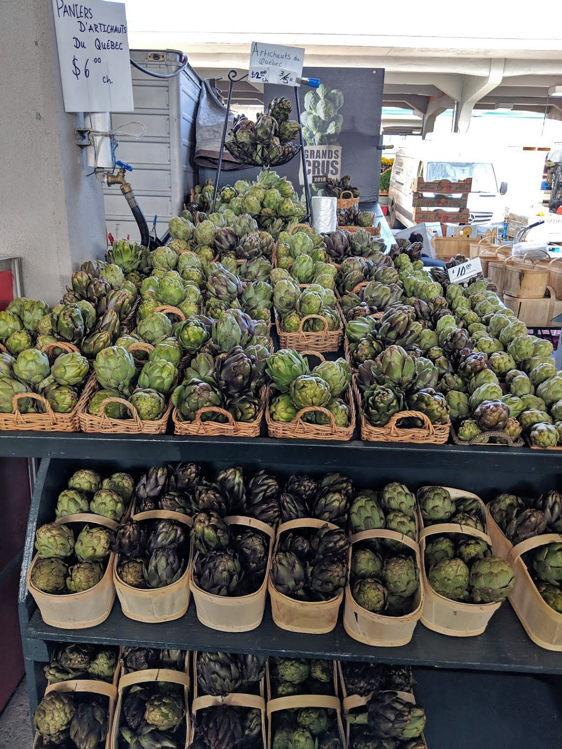 Artichokes in multitude of baskets all grown in Quebec